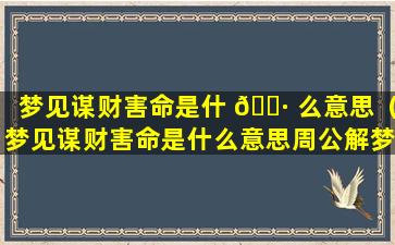 梦见谋财害命是什 🌷 么意思（梦见谋财害命是什么意思周公解梦）